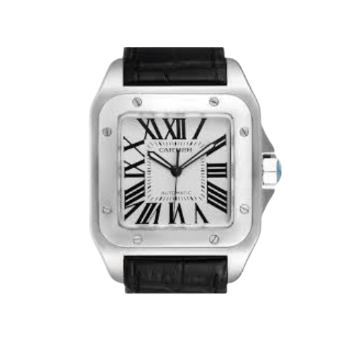 Santos de Cartier Silver Royale